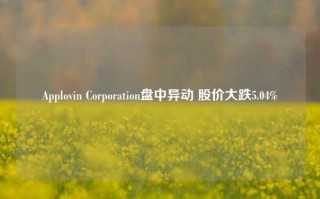 Applovin Corporation盘中异动 股价大跌5.04%