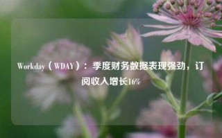 Workday（WDAY）：季度财务数据表现强劲，订阅收入增长16%