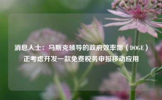 消息人士：马斯克领导的政府效率部（DOGE）正考虑开发一款免费税务申报移动应用