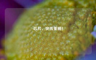 芯片，突传重磅！