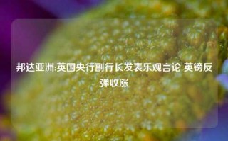 邦达亚洲:英国央行副行长发表乐观言论 英镑反弹收涨