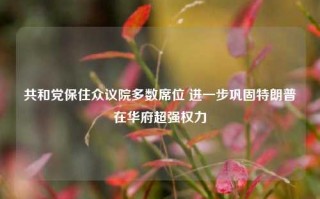 共和党保住众议院多数席位 进一步巩固特朗普在华府超强权力