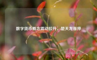 数字货币概念震动拉升，楚天龙涨停