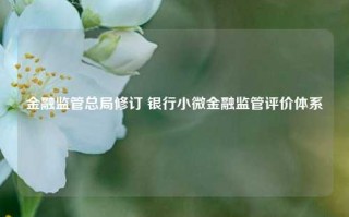 金融监管总局修订 银行小微金融监管评价体系