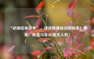 “必须结束战争”，泽连斯基给出时间表！俄军：击落乌军102架无人机！