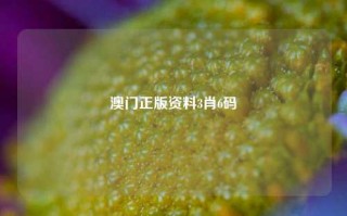 澳门正版资料3肖6码