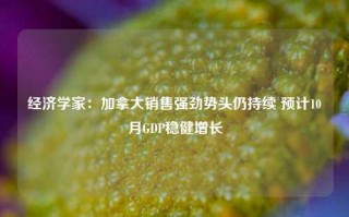 经济学家：加拿大销售强劲势头仍持续 预计10月GDP稳健增长