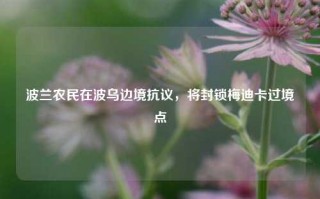 波兰农民在波乌边境抗议，将封锁梅迪卡过境点