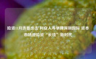 险资11月连番出击 利安人寿举牌深圳国际 资本市场迎险资“长钱”新时代