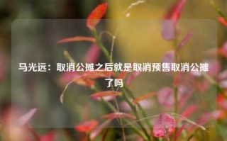 马光远：取消公摊之后就是取消预售取消公摊了吗