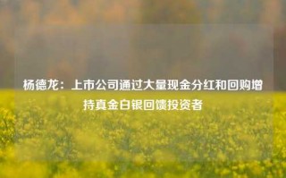 杨德龙：上市公司通过大量现金分红和回购增持真金白银回馈投资者