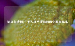 深圳与成都： 无人机产业链的两个典型样本