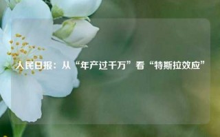 人民日报：从“年产过千万”看“特斯拉效应”