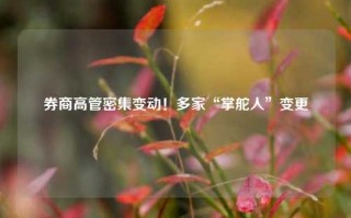 券商高管密集变动！多家“掌舵人”变更