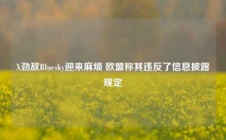 X劲敌Bluesky迎来麻烦 欧盟称其违反了信息披露规定