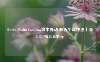 Sotera Health Company盘中异动 临近午盘快速上涨5.15%报13.48美元