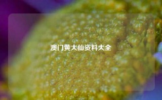 澳门黄大仙资料大全