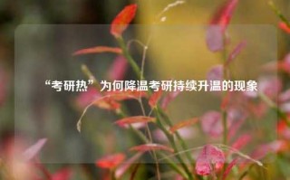 “考研热”为何降温考研持续升温的现象