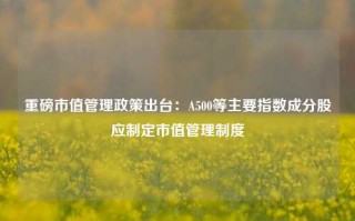 重磅市值管理政策出台：A500等主要指数成分股应制定市值管理制度