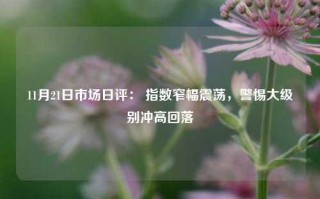 11月21日市场日评： 指数窄幅震荡，警惕大级别冲高回落