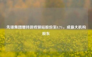 先锋集团增持游戏驿站股份至8.7%，成最大机构股东