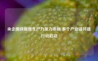 央企围绕新质生产力发力布局 多个产业链共链行动启动