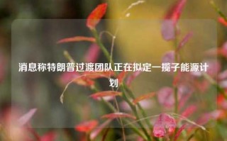 消息称特朗普过渡团队正在拟定一揽子能源计划