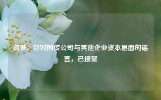 蔚来：针对网传公司与其他企业资本层面的谣言，已报警