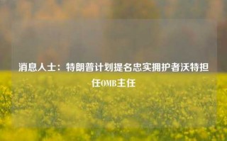 消息人士：特朗普计划提名忠实拥护者沃特担任OMB主任