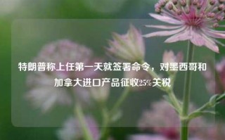 特朗普称上任第一天就签署命令，对墨西哥和加拿大进口产品征收25%关税