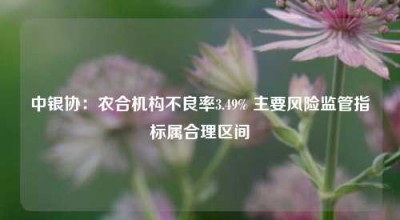 中银协：农合机构不良率3.49% 主要风险监管指标属合理区间