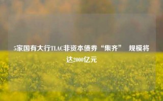 5家国有大行TLAC非资本债券“集齐”  规模将达2000亿元