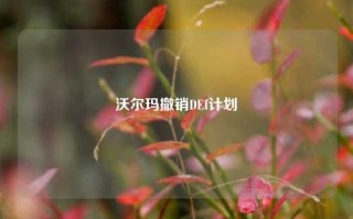 沃尔玛撤销DEI计划