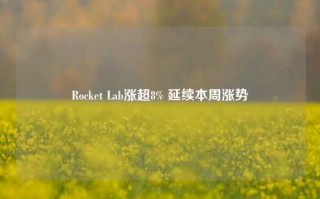 Rocket Lab涨超8% 延续本周涨势