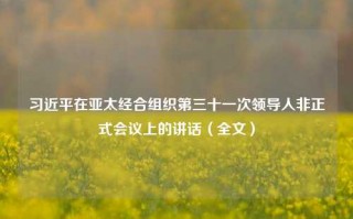 习近平在亚太经合组织第三十一次领导人非正式会议上的讲话（全文）