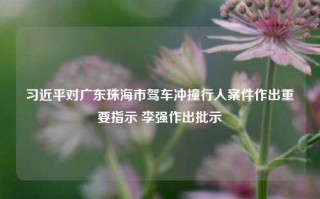 习近平对广东珠海市驾车冲撞行人案件作出重要指示 李强作出批示