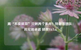 离“不卖就禁”只剩两个多月！特朗普团队：将兑现承诺 拯救TikTok