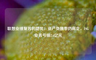 联想业绩复苏的隐忧：资产负债率仍高企，ISG业务亏损2.6亿元