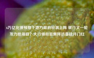 6万亿化债预期下地方政府轻装上阵 银行又一轮发力抢项目？大行领衔密集拜访备战开门红