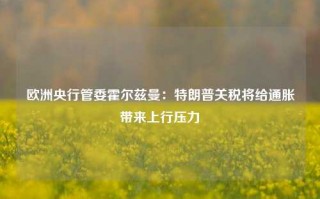 欧洲央行管委霍尔兹曼：特朗普关税将给通胀带来上行压力