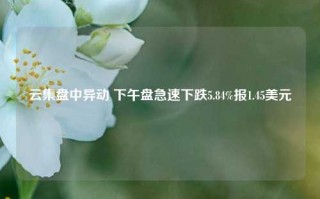 云集盘中异动 下午盘急速下跌5.84%报1.45美元