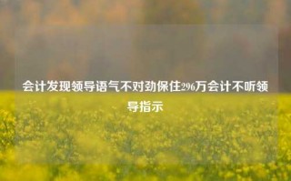 会计发现领导语气不对劲保住296万会计不听领导指示