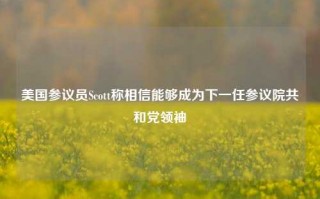 美国参议员Scott称相信能够成为下一任参议院共和党领袖