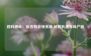 胜科纳米：报告期业绩亮眼 抢抓机遇布局产能