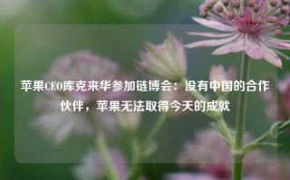 苹果CEO库克来华参加链博会：没有中国的合作伙伴，苹果无法取得今天的成就