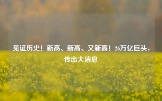 见证历史！新高、新高、又新高！26万亿巨头，传出大消息