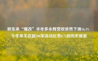 胖东来“爆改”半年多永辉营收依然下滑16.4% 今年来关店超200家流动比率0.75创历史新低