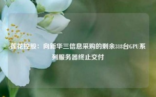 莲花控股：向新华三信息采购的剩余318台GPU系列服务器终止交付