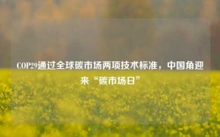 COP29通过全球碳市场两项技术标准，中国角迎来“碳市场日”