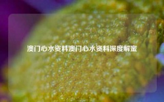 澳门心水资料澳门心水资料深度解蜜